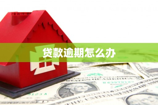 永嘉贷款逾期怎么办