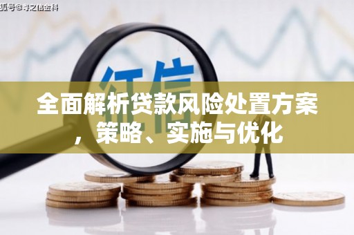 永嘉全面解析贷款风险处置方案，策略、实施与优化