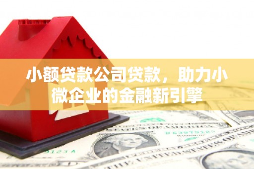 永嘉小额贷款公司贷款，助力小微企业的金融新引擎