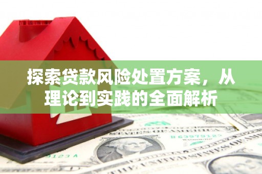 永嘉探索贷款风险处置方案，从理论到实践的全面解析