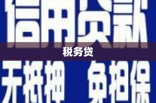 永嘉税务贷