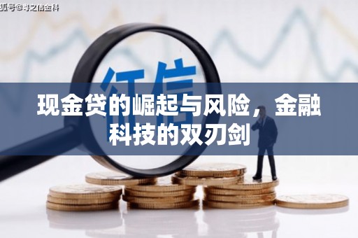 永嘉现金贷的崛起与风险，金融科技的双刃剑