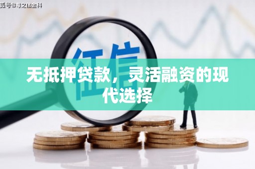 永嘉无抵押贷款，灵活融资的现代选择