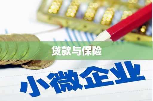 永嘉贷款与保险