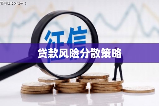 永嘉贷款风险分散策略