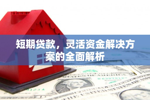 永嘉短期贷款，灵活资金解决方案的全面解析