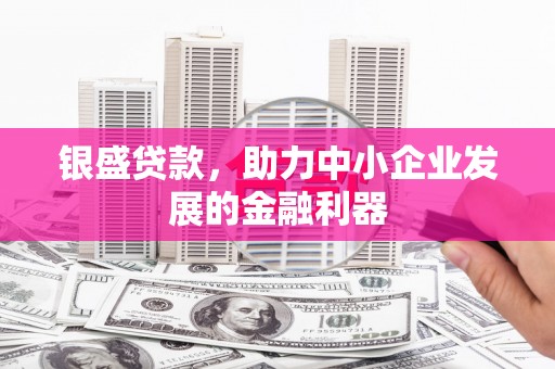 永嘉银盛贷款，助力中小企业发展的金融利器