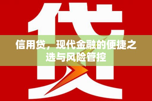 永嘉信用贷，现代金融的便捷之选与风险管控