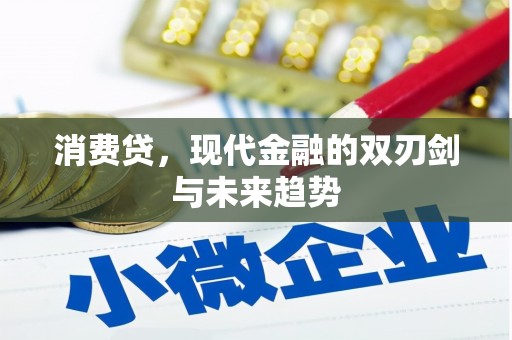 永嘉消费贷，现代金融的双刃剑与未来趋势