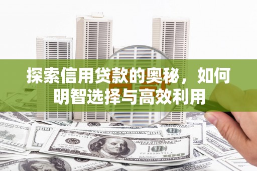 永嘉探索信用贷款的奥秘，如何明智选择与高效利用