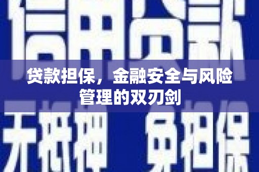 永嘉贷款担保，金融安全与风险管理的双刃剑