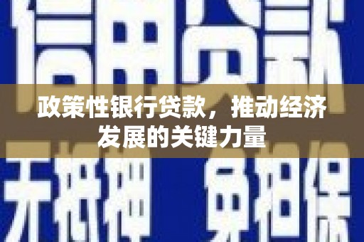 永嘉政策性银行贷款，推动经济发展的关键力量