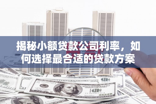 永嘉揭秘小额贷款公司利率，如何选择最合适的贷款方案