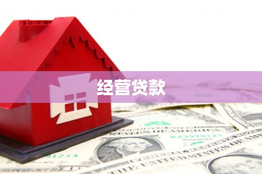 永嘉经营贷款