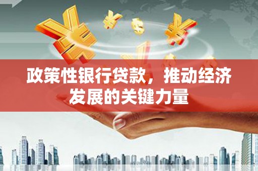 永嘉政策性银行贷款，推动经济发展的关键力量