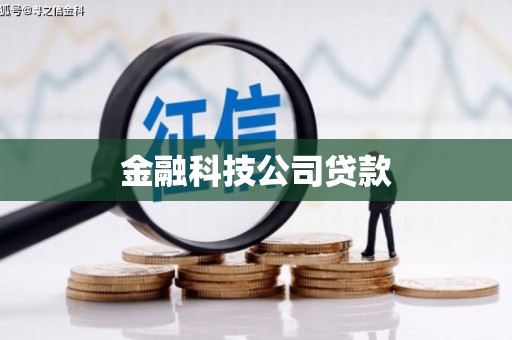 永嘉金融科技公司贷款