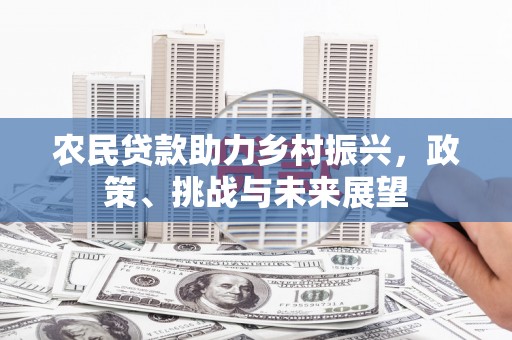 永嘉农民贷款助力乡村振兴，政策、挑战与未来展望