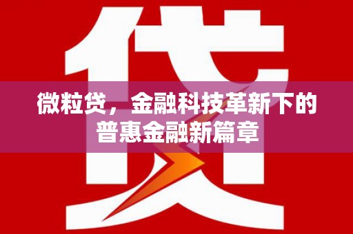 永嘉微粒贷，金融科技革新下的普惠金融新篇章