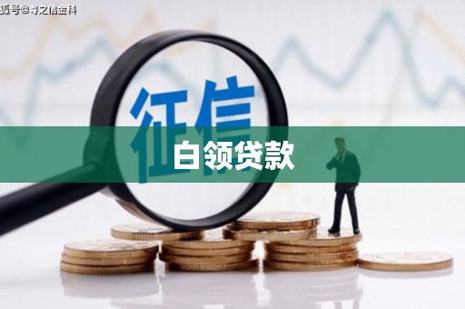 永嘉白领贷款