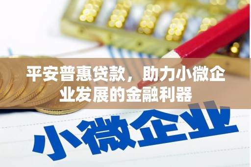 永嘉平安普惠贷款，助力小微企业发展的金融利器