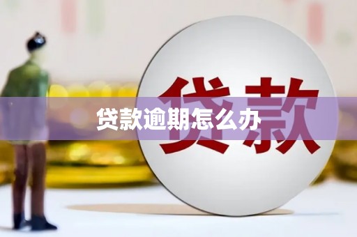 永嘉贷款逾期怎么办
