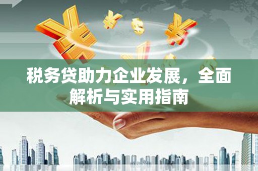 永嘉税务贷助力企业发展，全面解析与实用指南