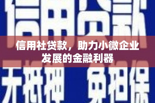 永嘉信用社贷款，助力小微企业发展的金融利器