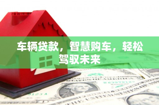 永嘉车辆贷款，智慧购车，轻松驾驭未来