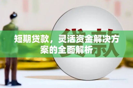 永嘉短期贷款，灵活资金解决方案的全面解析
