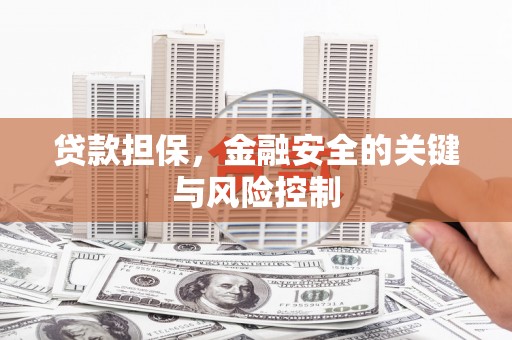 永嘉贷款担保，金融安全的关键与风险控制