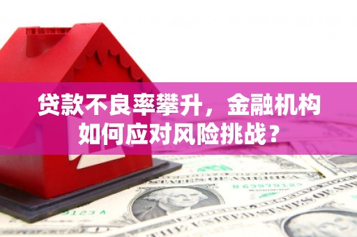 永嘉贷款不良率攀升，金融机构如何应对风险挑战？