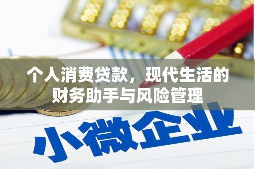 永嘉个人消费贷款，现代生活的财务助手与风险管理