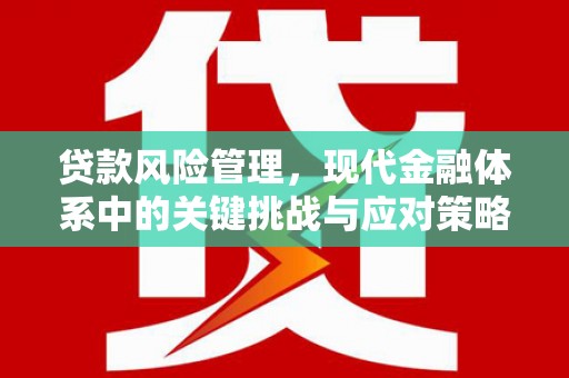 永嘉贷款风险管理，现代金融体系中的关键挑战与应对策略