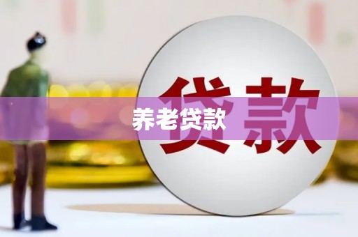 永嘉养老贷款