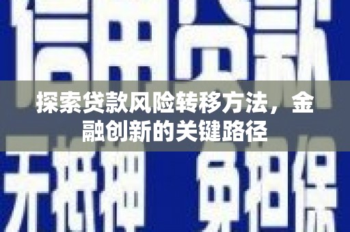 永嘉探索贷款风险转移方法，金融创新的关键路径