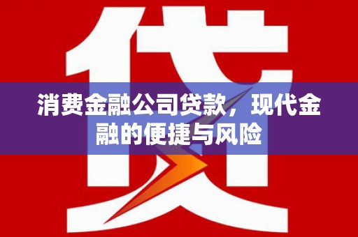 永嘉消费金融公司贷款，现代金融的便捷与风险