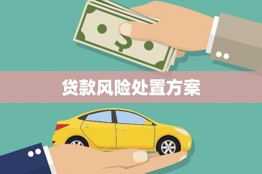 永嘉贷款风险处置方案