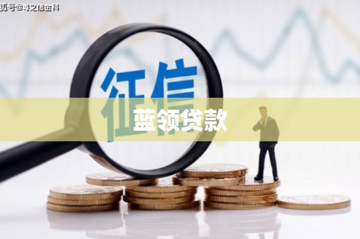 永嘉蓝领贷款