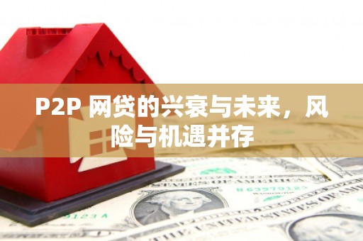永嘉P2P 网贷的兴衰与未来，风险与机遇并存