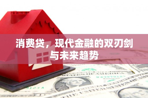 永嘉消费贷，现代金融的双刃剑与未来趋势