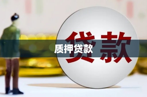 永嘉质押贷款
