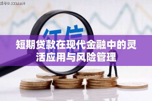 永嘉短期贷款在现代金融中的灵活应用与风险管理