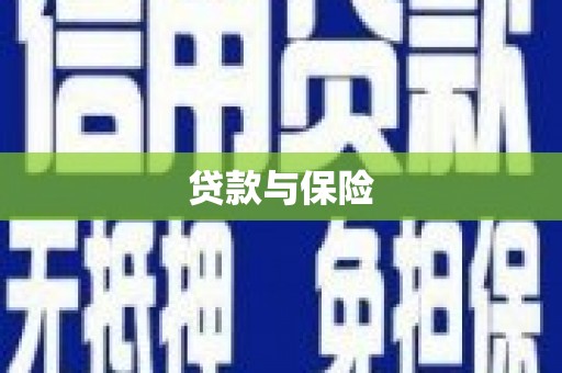 永嘉贷款与保险